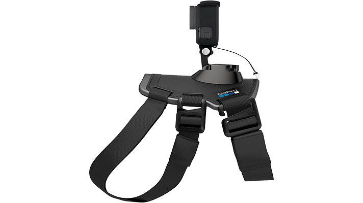 GoPro Fetch Dog Harness