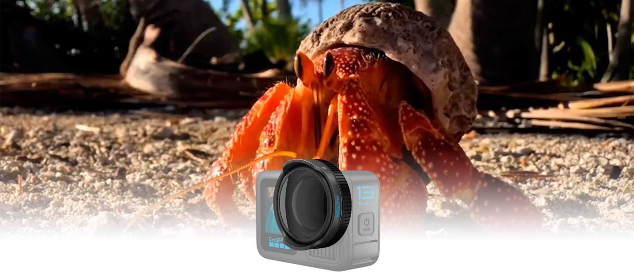 GoPro Macro Lens Mod